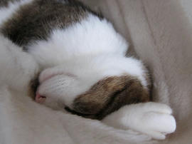 IMG06073.jpg