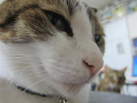 IMG06075.jpg