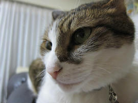 IMG06076.jpg