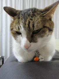 IMG06080.jpg