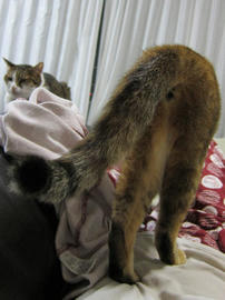 IMG06084.jpg