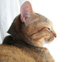 IMG06087.jpg