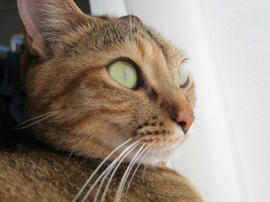 IMG06089.jpg