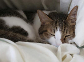 IMG06091.jpg