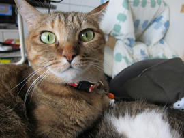 IMG06097.jpg