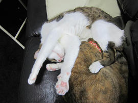 IMG06111.jpg
