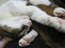 IMG06113.jpg