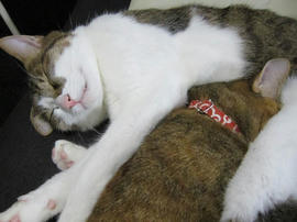 IMG06116.jpg