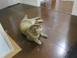 IMG06119.jpg