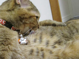 IMG06124.jpg