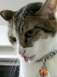 IMG06125.jpg