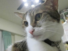 IMG06127.jpg