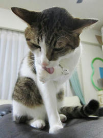 IMG06128.jpg