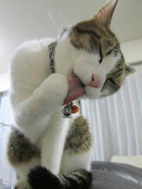 IMG06131.jpg