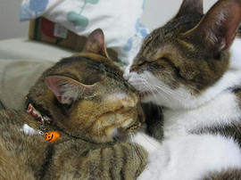 IMG06135.jpg