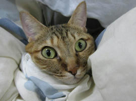 IMG06147.jpg