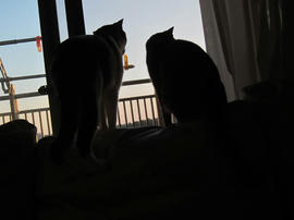 IMG06149.jpg