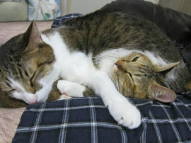 IMG06151.jpg