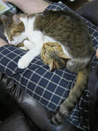 IMG06152.jpg