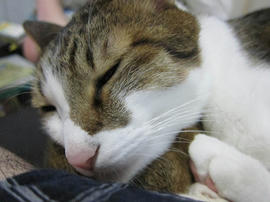 IMG06154.jpg