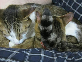 IMG06155.jpg