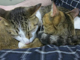 IMG06156.jpg