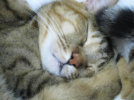 IMG06161.jpg