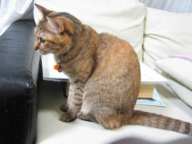IMG06168.jpg