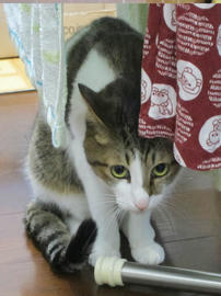 IMG06170.jpg