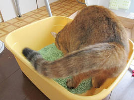IMG06178.jpg