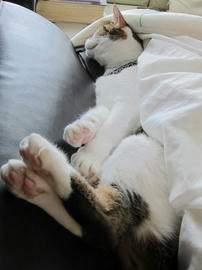 IMG06183.jpg
