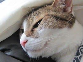 IMG06184.jpg