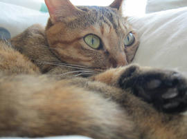 IMG06185.jpg