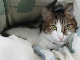 IMG06186.jpg