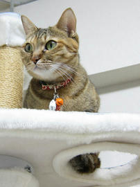 IMG06191.jpg