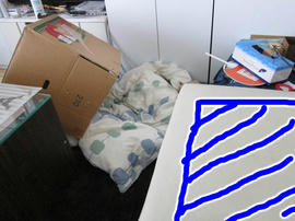 IMG06196.jpg