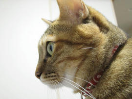 IMG06199.jpg