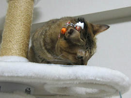 IMG06220.jpg