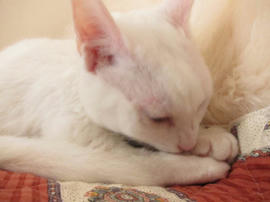 IMG06201.jpg