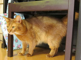 IMG06203.jpg