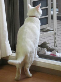 IMG06208.jpg