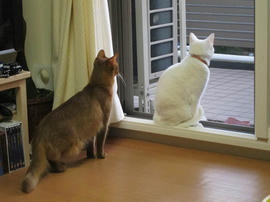 IMG06215.jpg