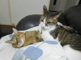 IMG06231.jpg