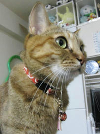IMG06237.jpg