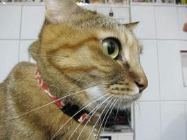 IMG06238.jpg