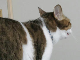 IMG06239.jpg