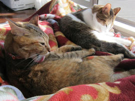 IMG06244.jpg