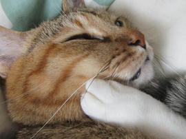 IMG06247.jpg