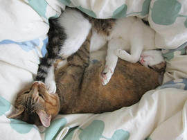 IMG06249.jpg