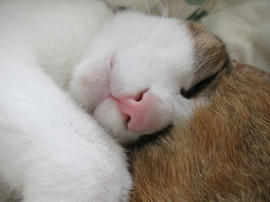 IMG06251.jpg